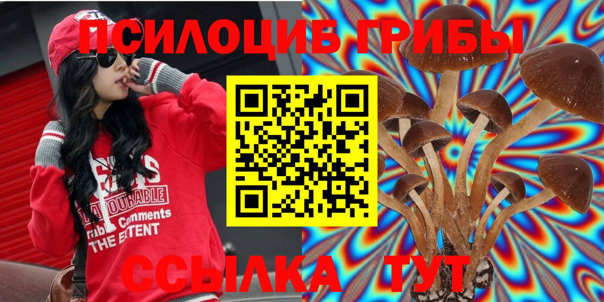 Тулун  Псилоцибиновые грибы MAGIC MUSHROOMS  Вход с VPN  Галлюциногенные грибы прущие грибы 